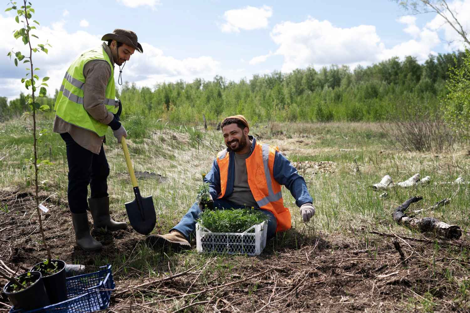 Best Tree Clearing Services  in Church Point, LA